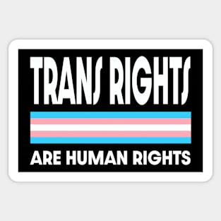 Trans Rights Graphic Sticker